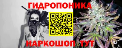 гидра Старая Купавна