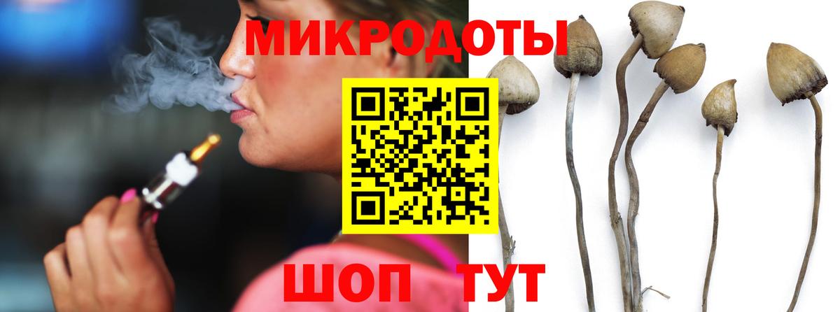 Псилоцибиновые грибы Psilocybine cubensis  Псилоцибиновые грибы MAGIC MUSHROOMS  Вход с VPN  Борисоглебск 